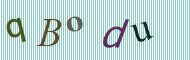 CAPTCHA code